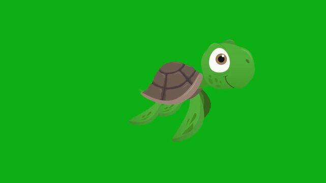 turtle sea ocean reptile shell water swim marine aquatic aquarium premium stock media clip for professional video editing projects. this high-end visual element is perfectly