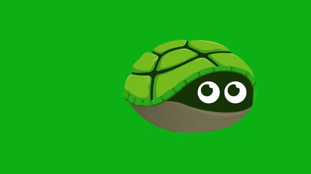 turtle hiding shell reptile sea ocean aquarium protection defense premium stock media clip for professional video editing projects. this high-end visual element is perfectly
