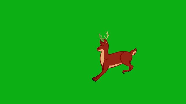 deer stag wildlife forest mammal antlers wilderness buck run woods premium stock media clip for professional video editing projects. this high-end visual element is perfectly