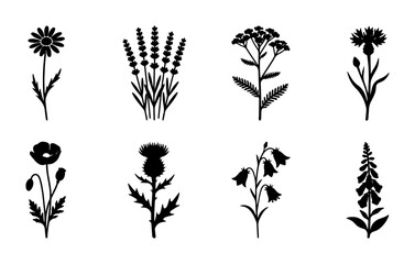 Botanical Silhouettes Collection: Wildflowers, Herbs, and Garden Blooms, Vector Icons for Nature Designs © Saif