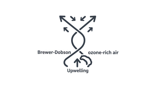 Brewer-Dobson Circulation: Ozone Transport and Upwelling in Atmosphere