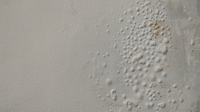 "Close-up of bubbling and blistered paint on a damp wall surface. Concept for home renovation, water damage issues, structural repair, maintenance problems, and industrial texture backgrounds."