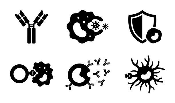 Immune System Icons: Antibody, Macrophage, Shield, Neuron, Cell Defense, Vector Graphics for Medical Science and Health