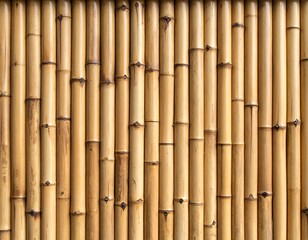 Naklejka premium Natural Bamboo Stalk Pattern Forming Textured Wall Background