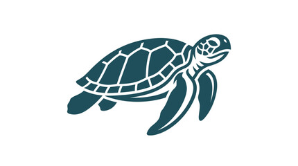 Turtle Shell Marine Reptile Animal. © widyas