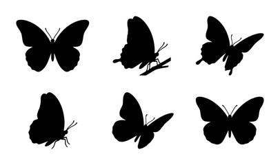 Black Butterfly Silhouettes, Insect Wing Shapes, Delicate Flying Creatures, Nature's Artistry, Vector Graphics Collection © Anwar