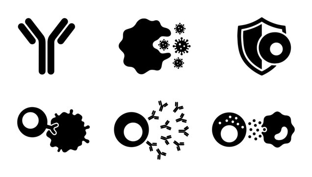 Immune System Icons: Antibody, Antigen, T-Cell, B-Cell, Phagocyte, Cytokine, Vector Set for Medical Science and Healthcare