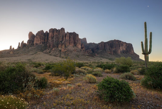 Twilight silhouette of Saguaro cactus and Superstition Mountains.