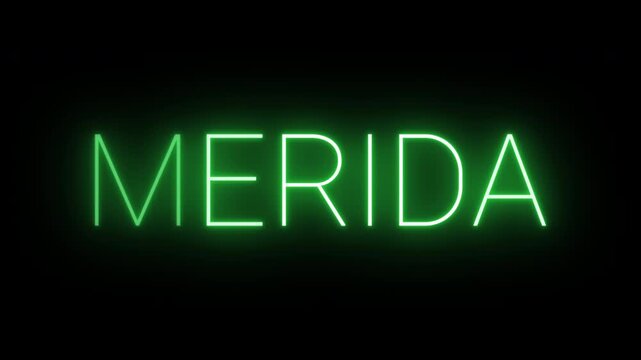 Flickering neon green glowing merida sign animated black background.