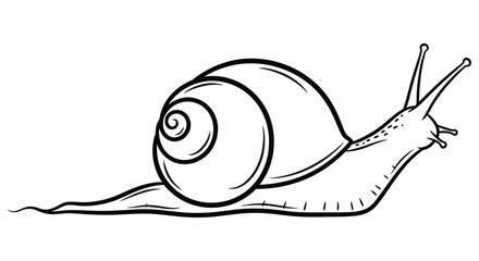 Snail Line Art Illustration Black And White Sketch © MDRASEL