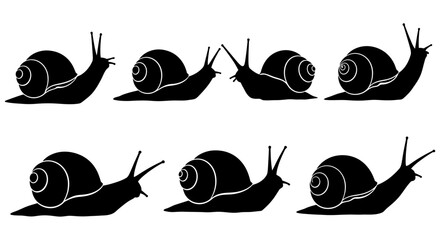 Black Silhouette Of Snails A Vector Illustration Series © MDRASEL
