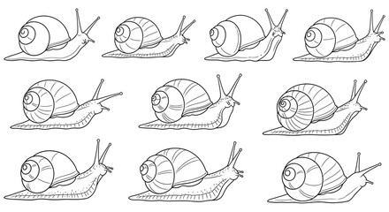 Line Art Snails In Various Poses Black And White Illustration © MDRASEL