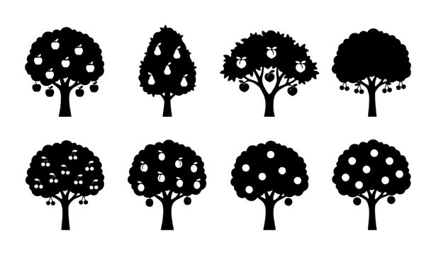 Fruit Tree Silhouettes Collection: Orchard Icons, Apple & Pear Trees, Harvest Graphics, Organic Produce Vector Set