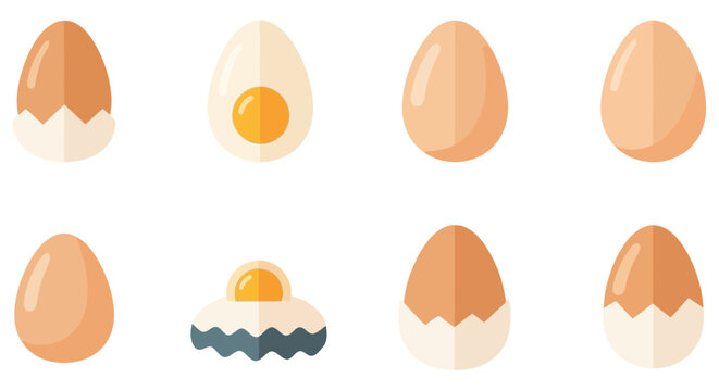 Egg hatching Sequence Flat Vector Illustration Set