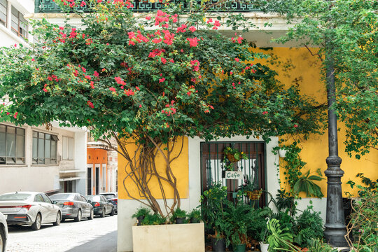 Cafe in Old San Juan Puerto Rico 