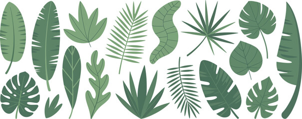 Fototapeta premium Assorted green tropical leaves on a white background tropical leaves, jungle foliage