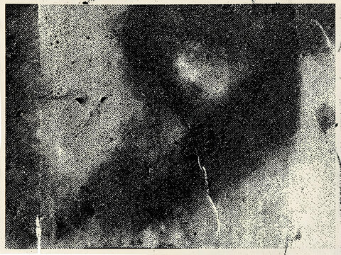 Abstract: Risograph scan texture overlay with stipple grain and photocopy artifacts; irregular registration misalignment.