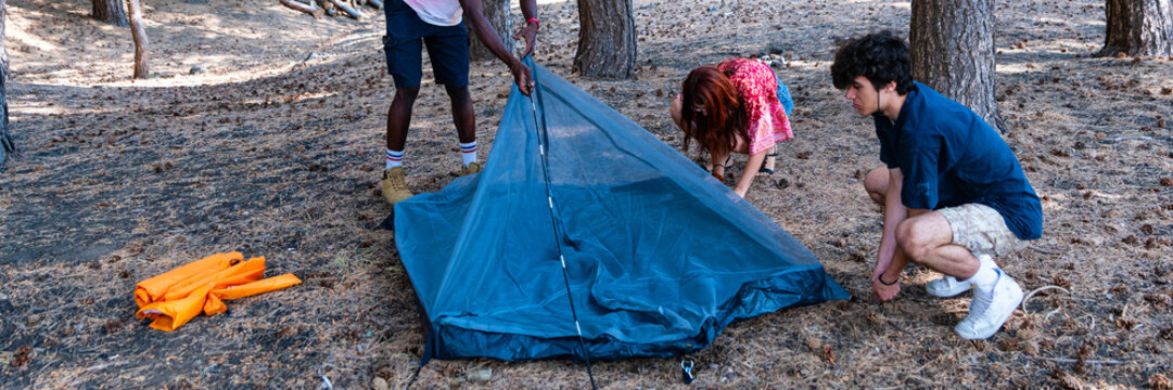 Multiethnic teenagers and adult assembling blue tent flysheet in pine woodland on needle-covered ground. Candid teamwork scene showing outdoor education, youth cooperation, adventure recreation 