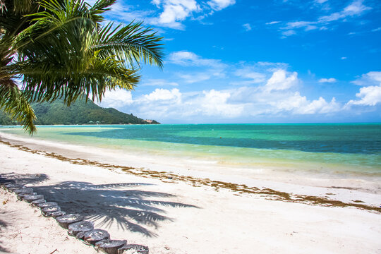 Plage seychelloise 