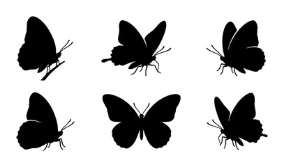 Six Black Butterfly Silhouettes, Insect Wing Shapes, Delicate Flying Creatures, Nature Vector Graphics © Touhidul