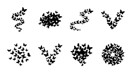 Black Butterfly Swarms, Vector Art Collections, Abstract Flying Insect Formations, Nature Motifs © AminulHaque