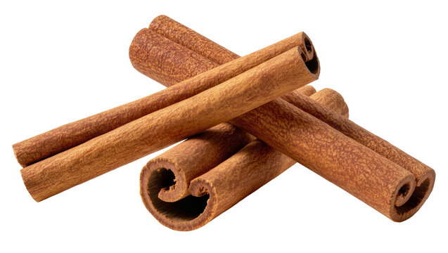 Several dried cinnamon sticks with rough textured bark, isolated on transparent background