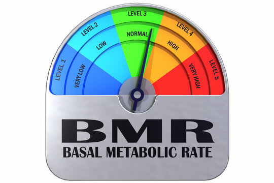 Basal Metabolic Rate, BMR indicator