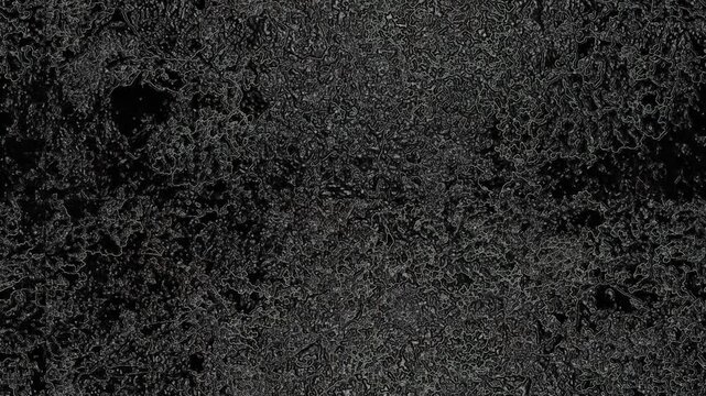 Dark abstract texture featuring intricate leaf-like patterns, organic details, porous shapes, and depth. Grunge texture background animation.