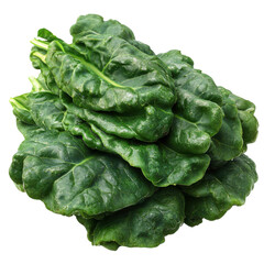Fototapeta premium Freshly harvested spinach bunch with vibrant green leaves and visible veins isolated on white background