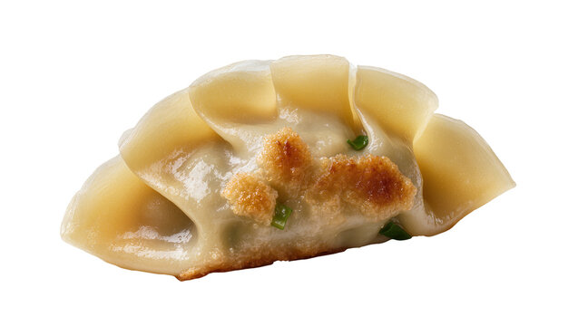 Golden pan-fried gyoza dumpling with green onions, isolated on transparent background