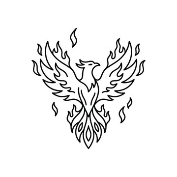 Phoenix bird in flames rising.