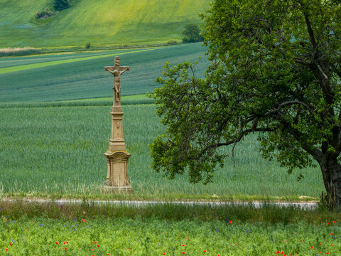 Historic stone wayside cross in a rolling spring landscape with fields and a tree