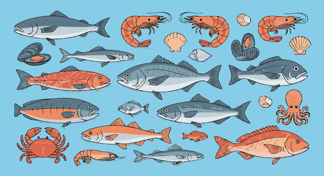 Hand-drawn flat graphic illustration of an assortment of fresh seafood