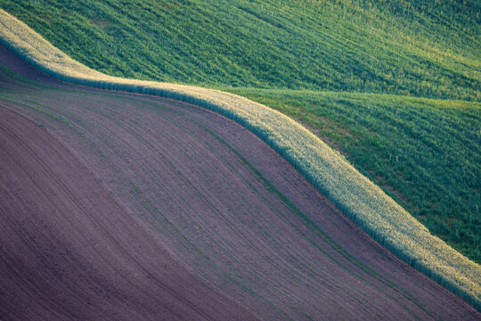 Abstract agricultural landscape with curved field patterns and bio strips