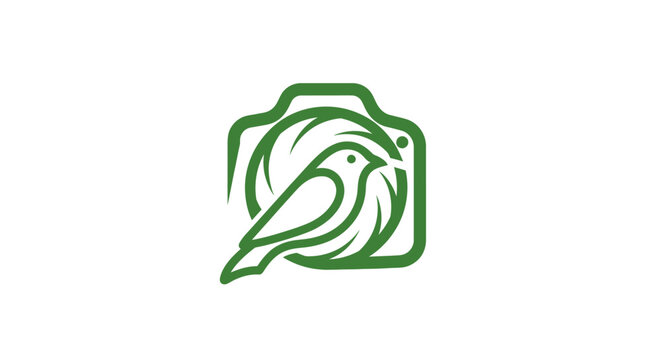 Green bird logo design with camera frame outline.