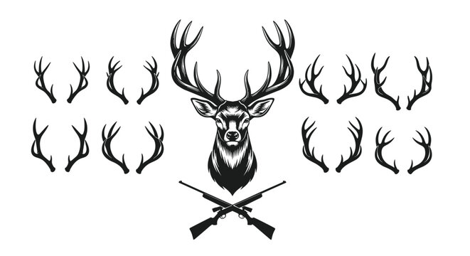 Majestic deer head hunting emblem with crossed rifles and different antler shapes isolated on a white background.