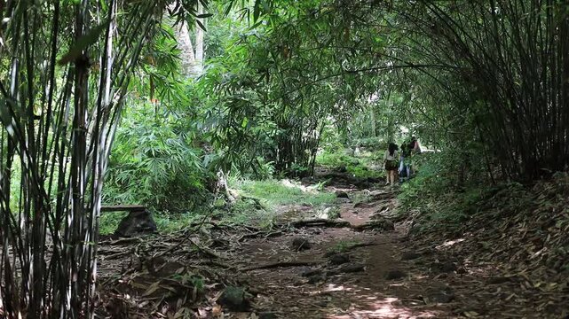 The video background features a natural landscape of a waterfall in a lush forest. Sam Lan Waterfall in Saraburi National Park boasts beautiful flowing water surrounded by diverse flora.