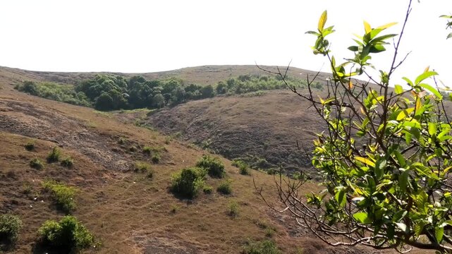 The panoramic hilly landscape of Parunthumpara, a tourist destination in Idukki, Kerala, India