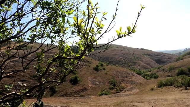 The panoramic hilly landscape of Parunthumpara, a tourist destination in Idukki, Kerala, India