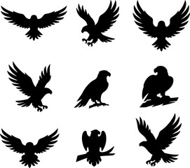 Naklejka premium eagle silhouette, fliying bird silhouette 