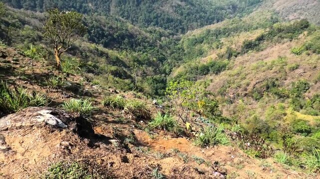 The panoramic hilly landscape of Parunthumpara, a tourist destination in Idukki, Kerala, India