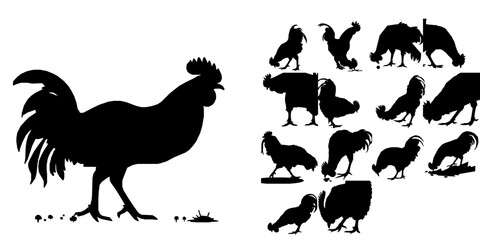 Rooster Pecking Ground Silhouette © 99___Designer