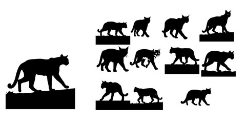 Bobcat Walking Silhouette © 99___Designer