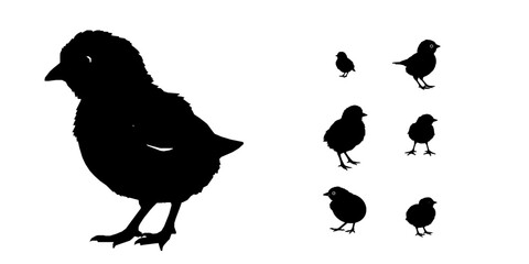 Chick Silhouette Small Bird Round Shape Vector Icon Pack © 99___Designer