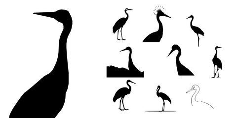 Obraz premium Crane Bird Silhouette Elegant Neck Vector Icon Pack