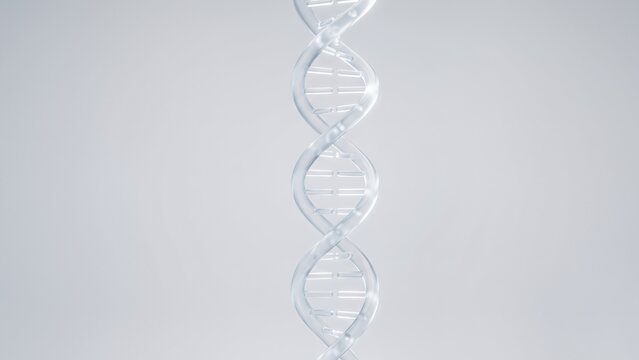 Transparent DNA Helix Model Representing Genetic Material in Science Laboratory