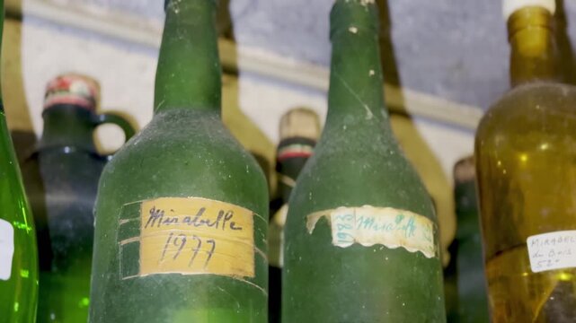 Old dusty bottles of homemade Mirabelle plum brandy with handwritten 1977 labels aging in a dim cellar, traditional French Lorraine eau-de-vie, slow motion clip
