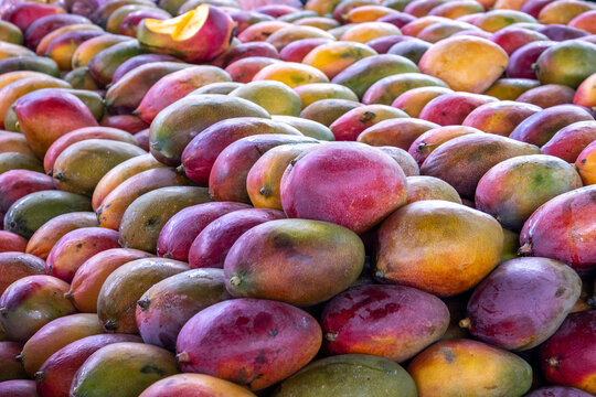 Vibrant Pile of Fresh Ripe Mangoes with One Sliced Open - Tropical Fruit Abundance