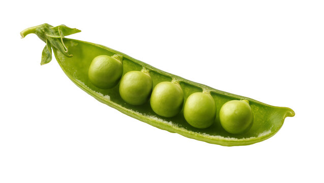 Fresh green pea pod with five round peas, isolated on transparent background