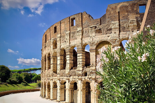 Malerischer Blick auf das antike Kolosseum mit Oleanderbl&uuml;ten, Rom / Picturesque view of the ancient Colosseum with oleander flowers, Rome, Italy